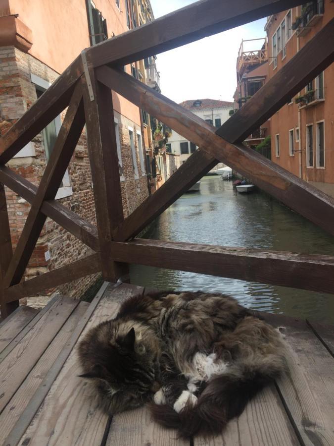 Mori 3, In Centro Storico Di Venezia Veneza Exterior foto